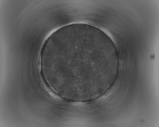 X0000091331127200708171345