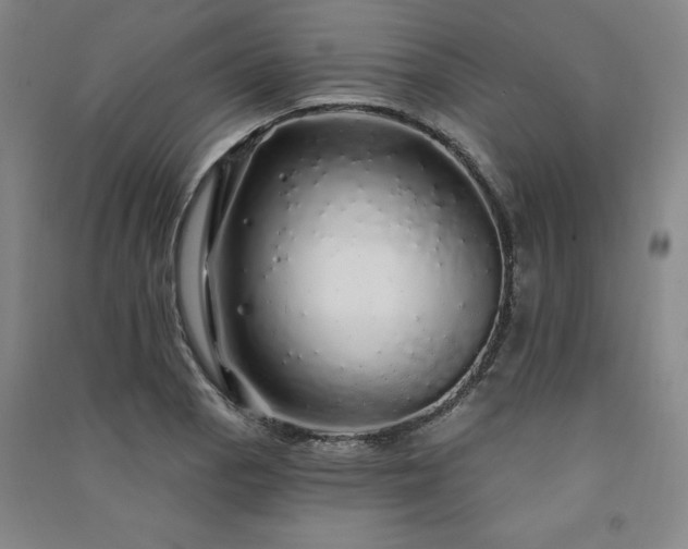 X0000091331129200708171345