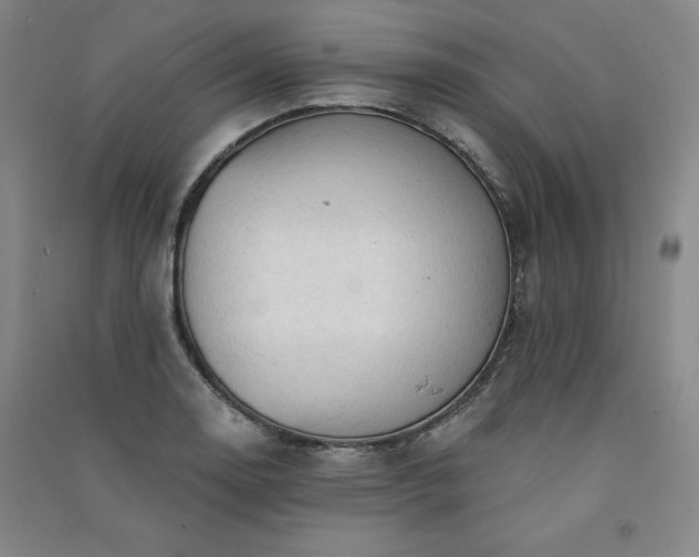 X0000091331130200708171345