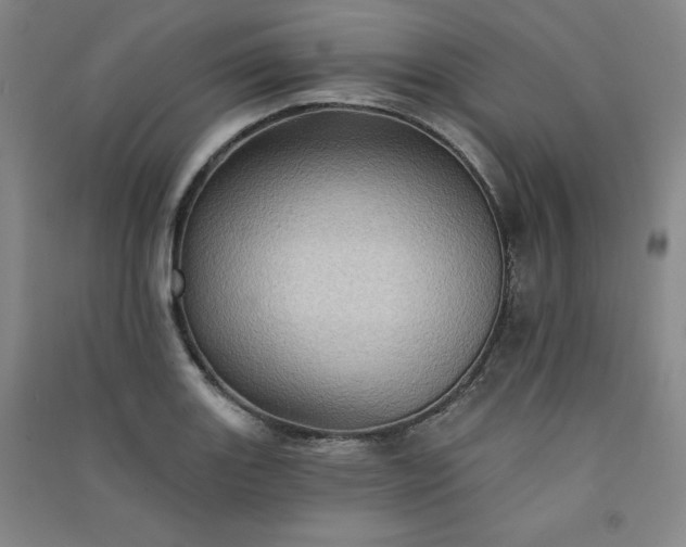 X0000091331131200708171345