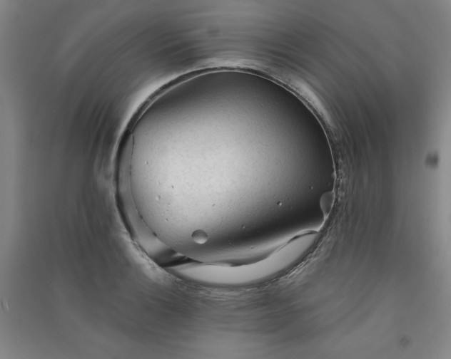 X0000091331132200708171345