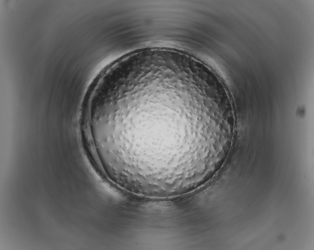 X0000091331133200708171345