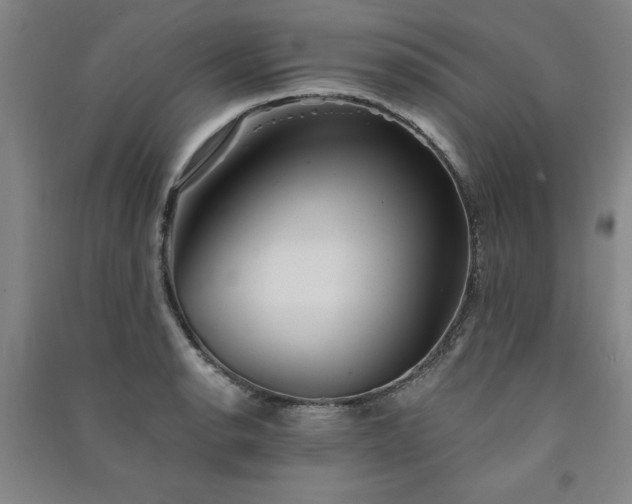 X0000091331134200708171345