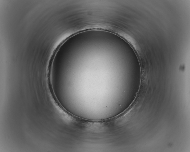 X0000091331135200708171346