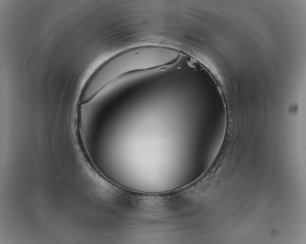 X0000091331136200708171346