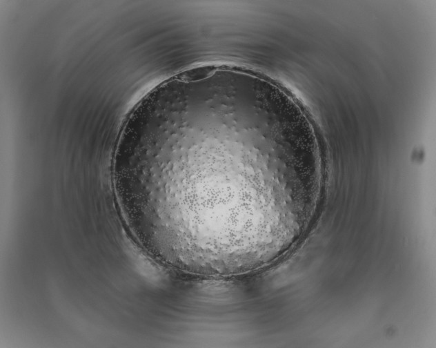 X0000091331137200708171346