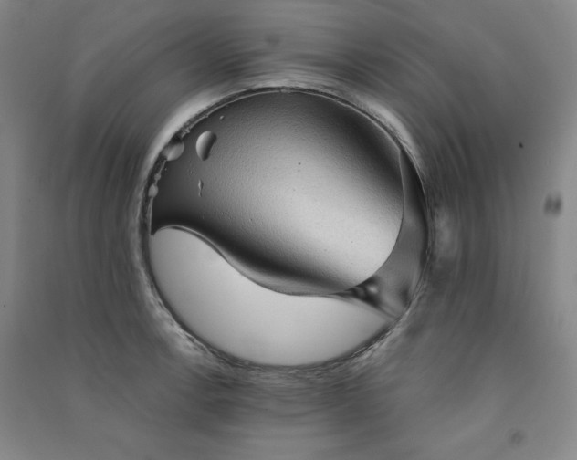 X0000091331138200708171346