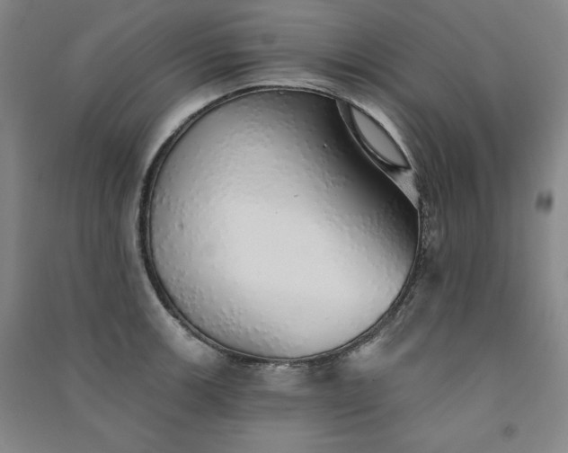 X0000091331139200708171346