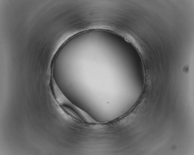 X0000091331140200708171346