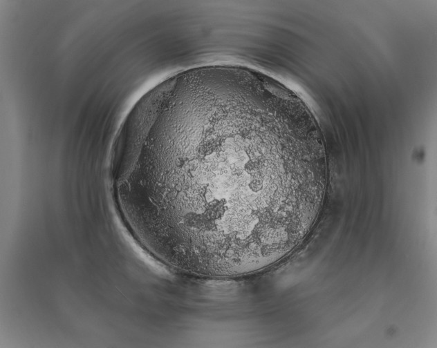 X0000091331142200708171346