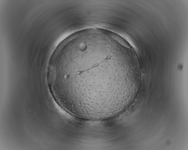 X0000091331143200708171346