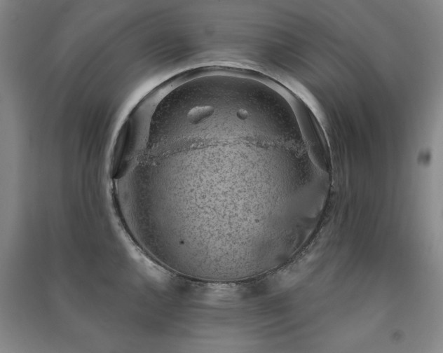 X0000091331144200708171346