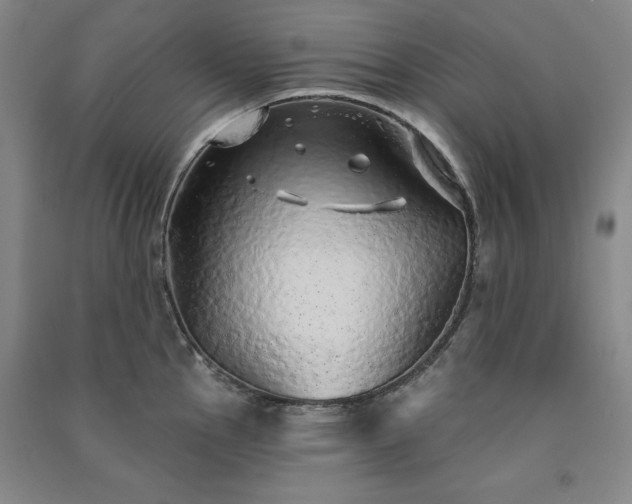 X0000091331145200708171346