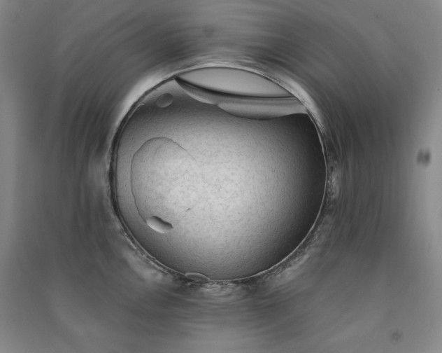 X0000091331146200708171346