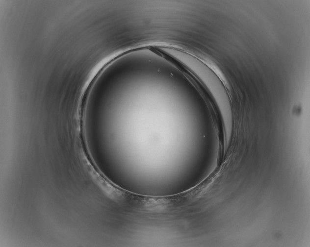 X0000091331148200708171346