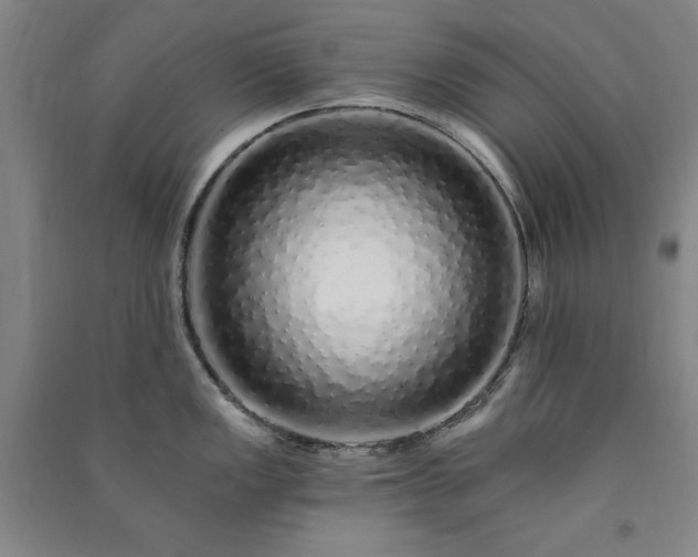 X0000091331149200708171346