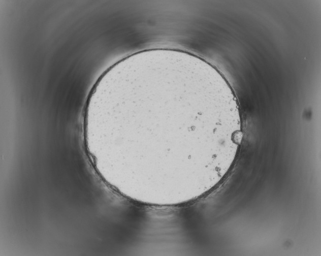 X0000091331150200708171346