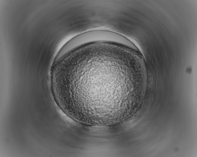 X0000091331151200708171346