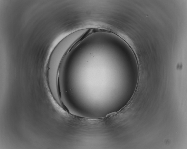 X0000091331152200708171346