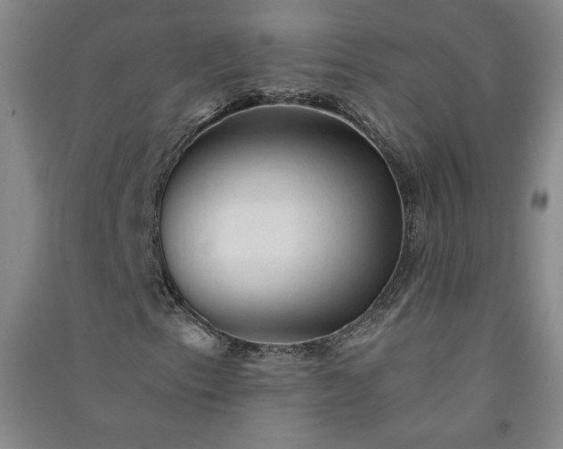 X0000091331153200708171345