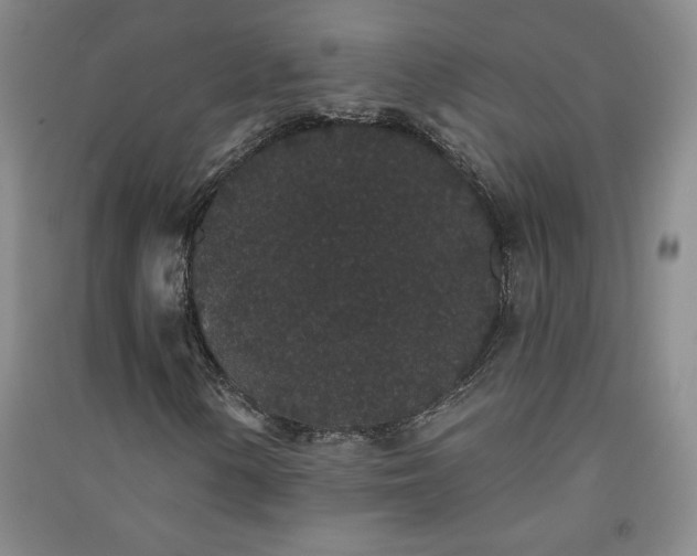 X0000091331154200708171345