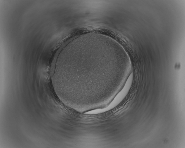 X0000091331156200708171345