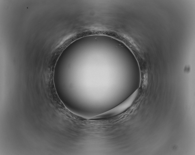 X0000091331157200708171345