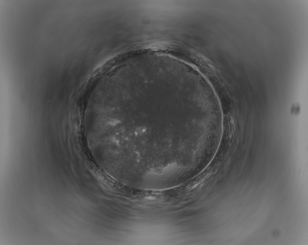 X0000091331158200708171345