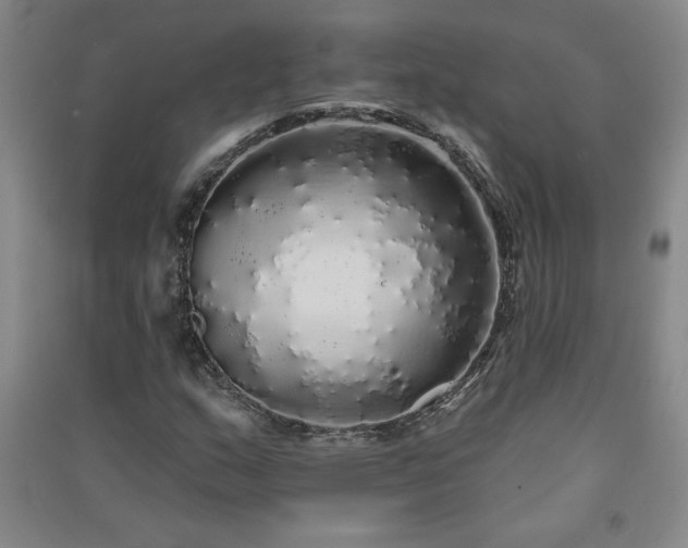 X0000091331159200708171345