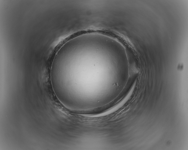 X0000091331160200708171345