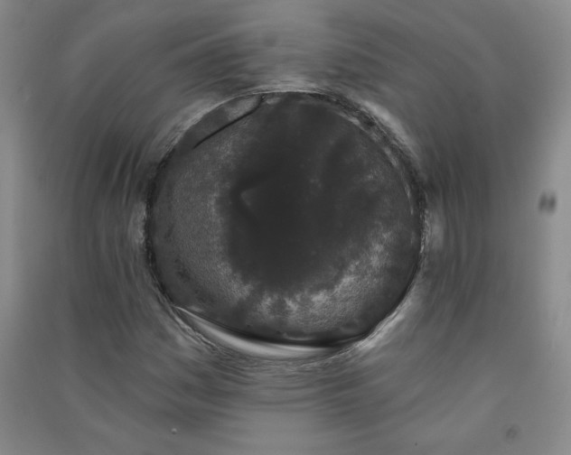 X0000091331161200708171345