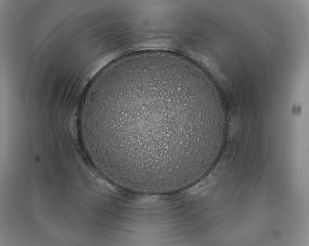 X0000091331162200708171345