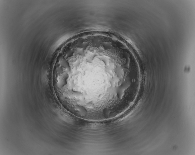 X0000091331163200708171345