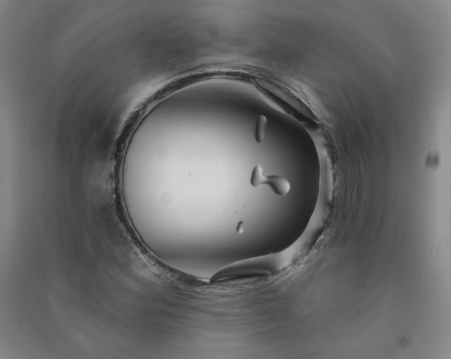 X0000091331164200708171345