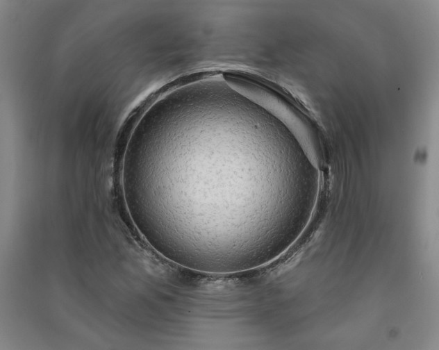 X0000091331165200708171345