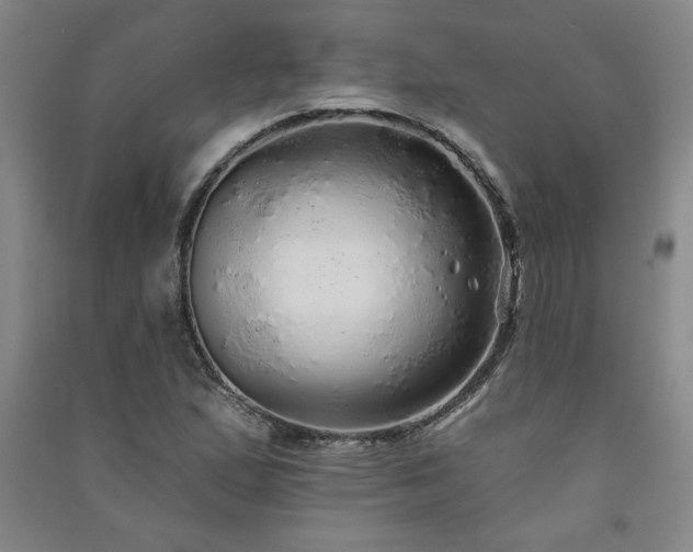 X0000091331167200708171345