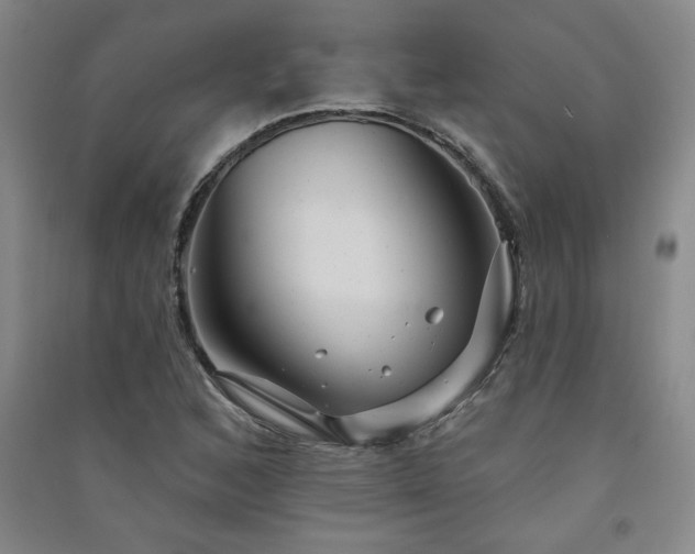 X0000091331168200708171345