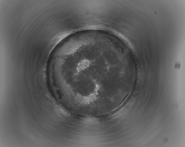 X0000091331170200708171345