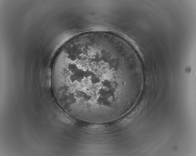 X0000091331171200708171345