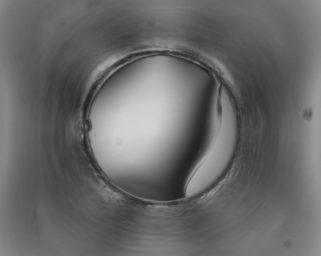 X0000091331172200708171345