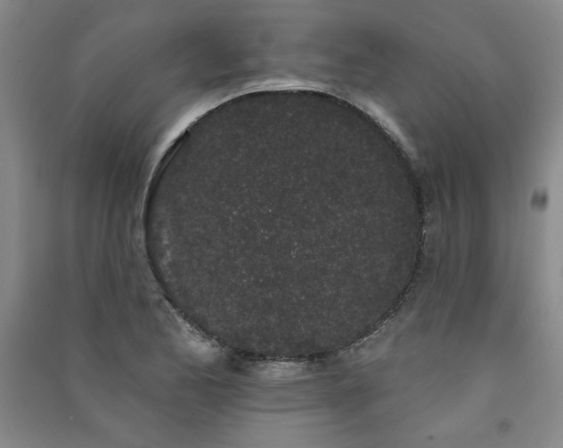 X0000091331173200708171345