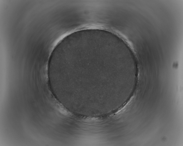 X0000091331174200708171345