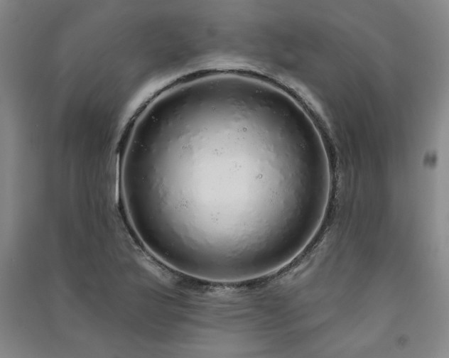 X0000091331175200708171345