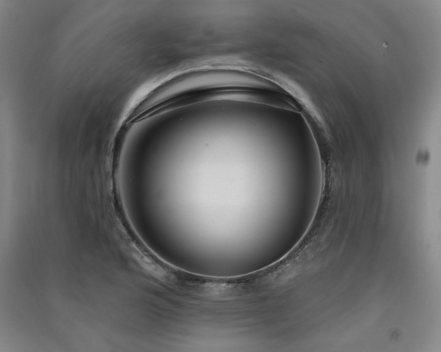 X0000091331176200708171345