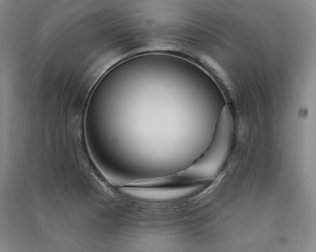 X0000091331177200708171345