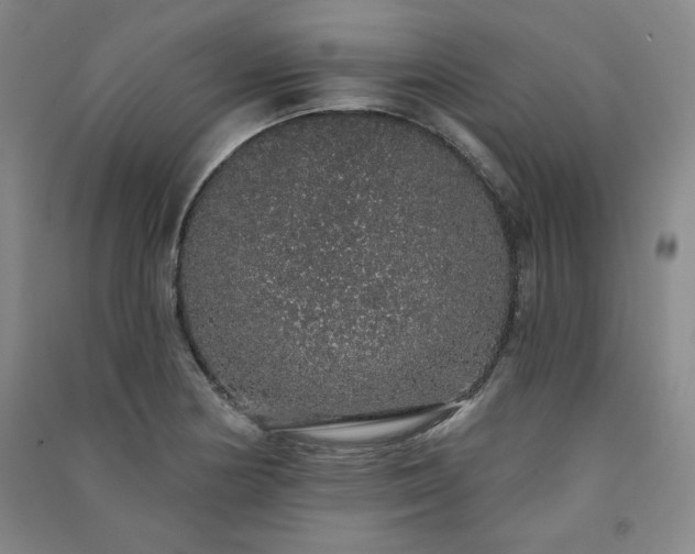 X0000091331178200708171345