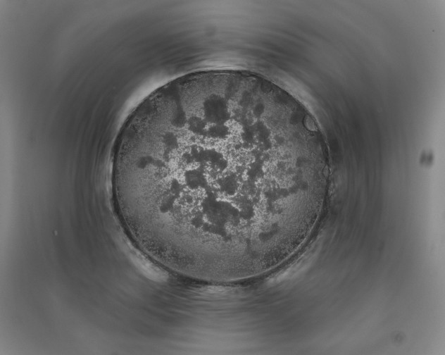 X0000091331179200708171345