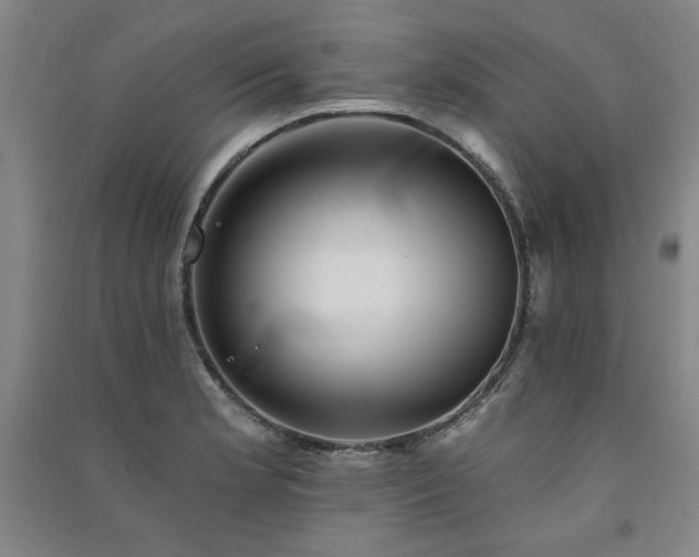 X0000091331181200708171345