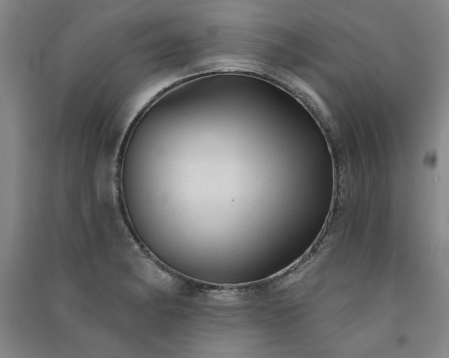 X0000091331182200708171345