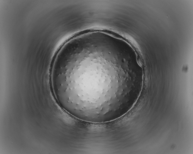 X0000091331183200708171345